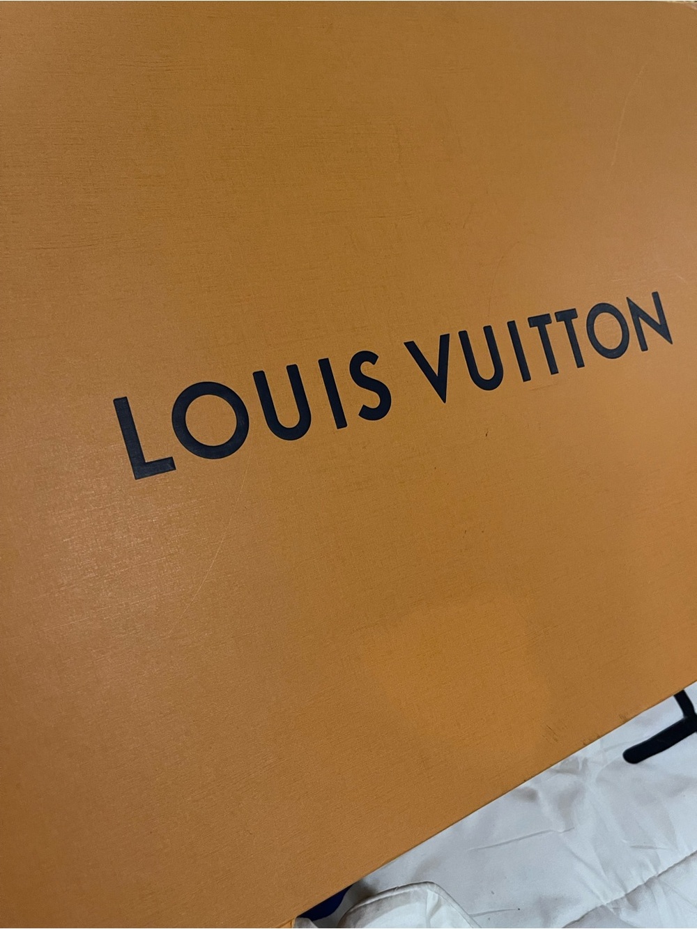 Louis Vuitton Bag NEW - Picture 16 of 16